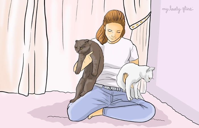 How to Breed Cats (with Pictures) - wikiHow