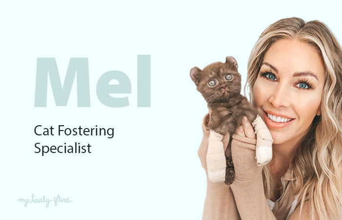 Interview: Melissa Lamprey—Cat Fostering Specialist