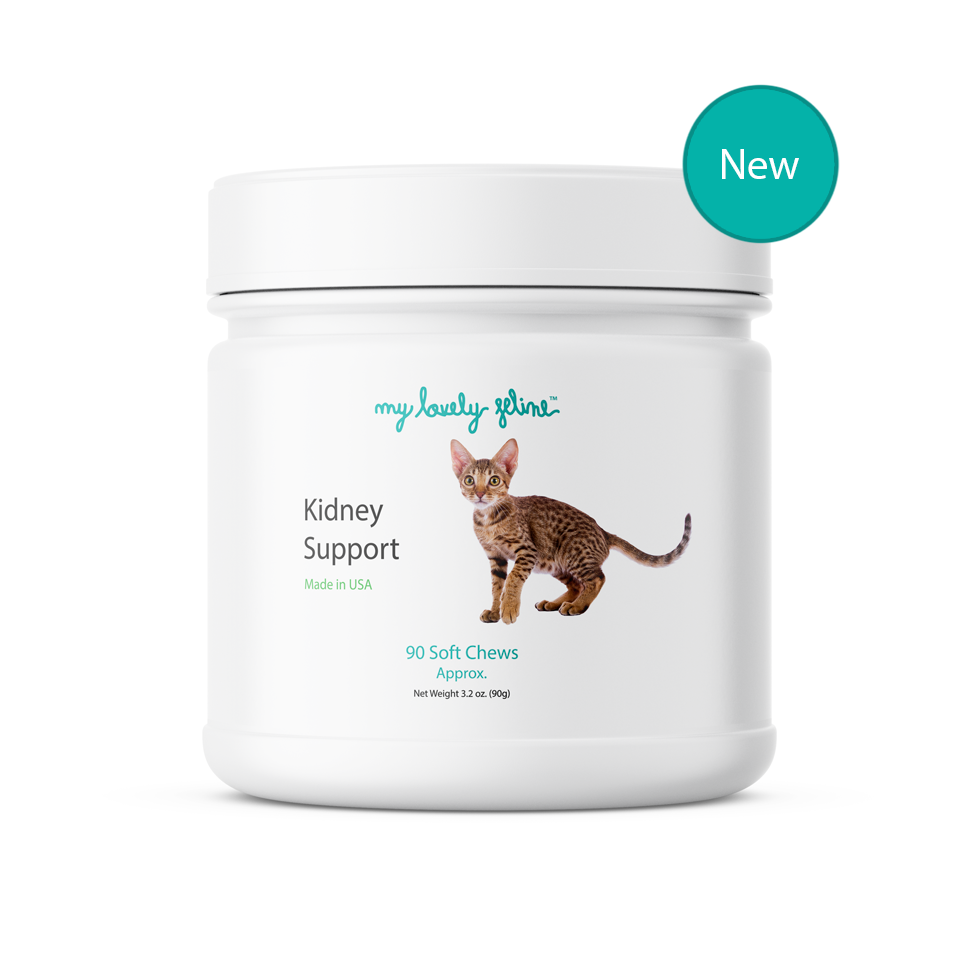 Premium Kidney Support Supplements for Cats—Made in USA