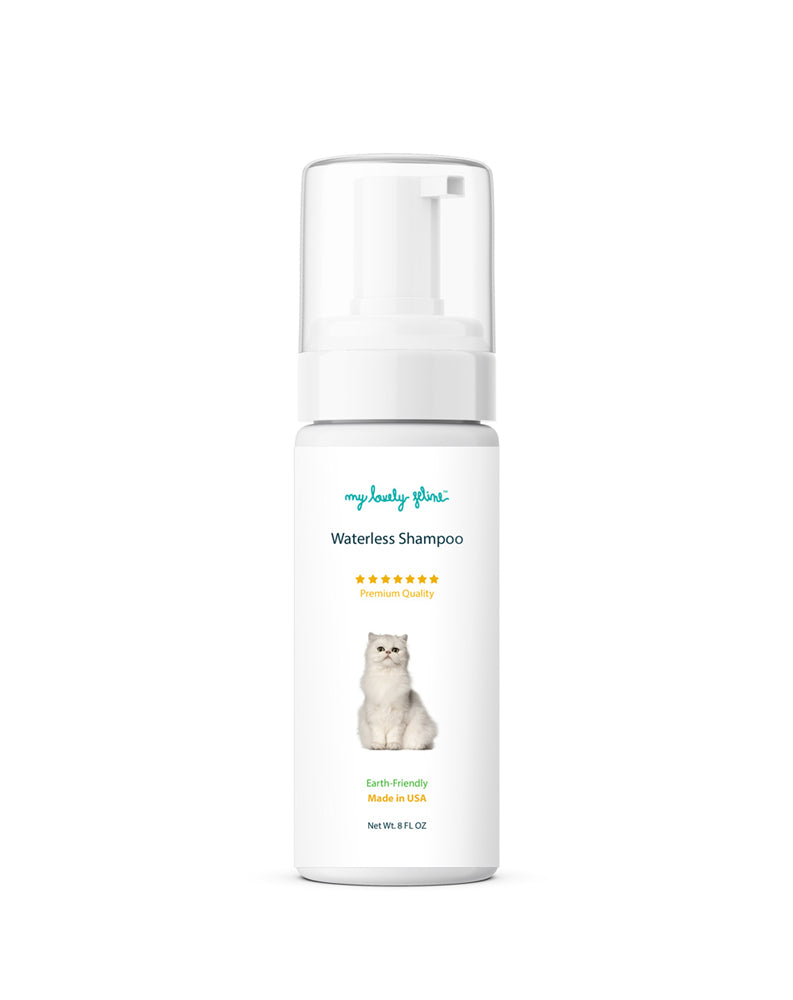Dry Shampoo for Cats